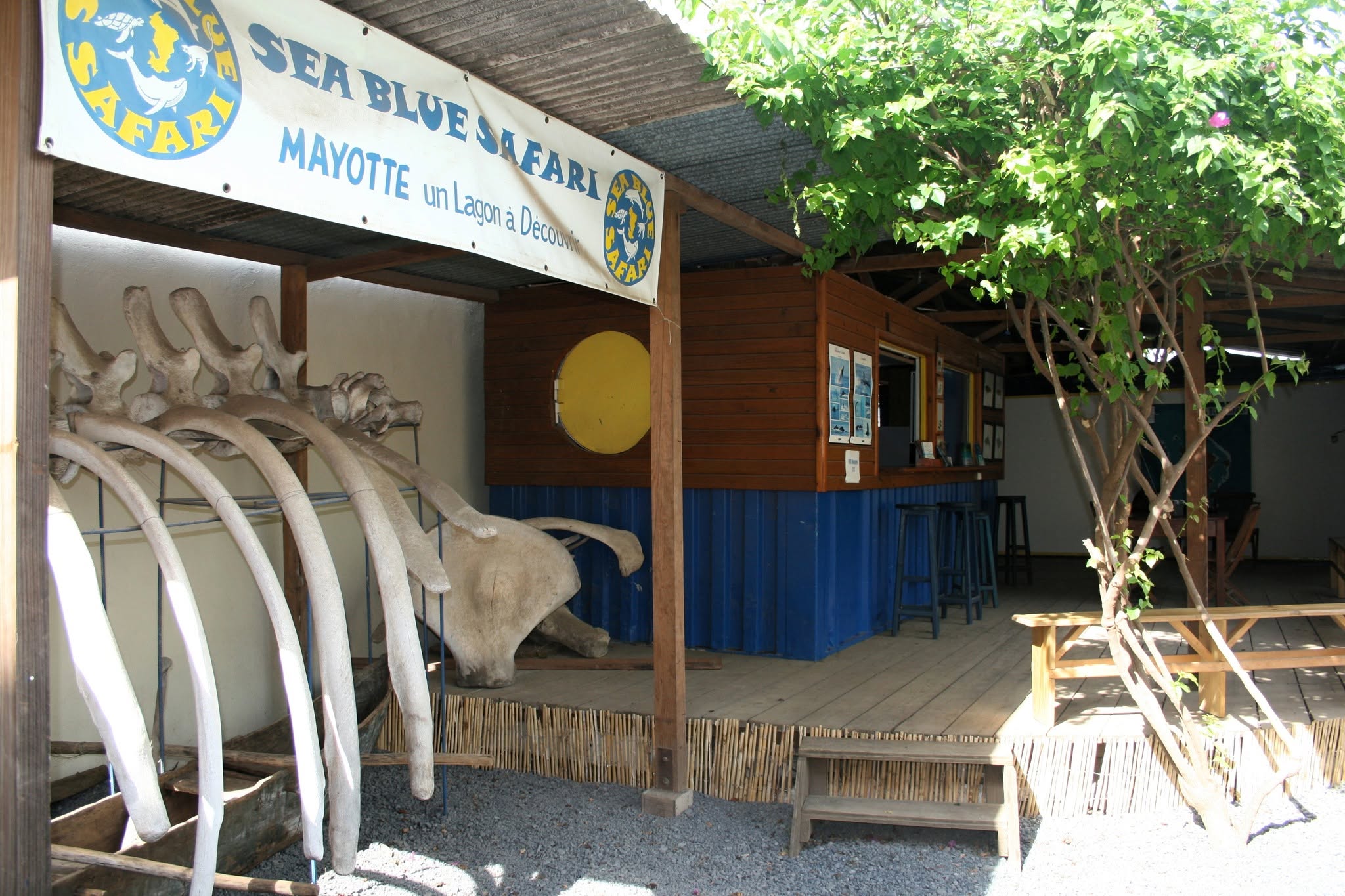 La boutique des débuts de Sea Blue Safari